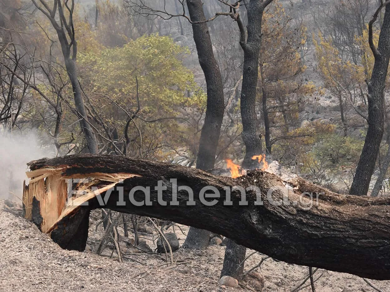 Πύρινη κόλαση στην Βόρεια Εύβοια