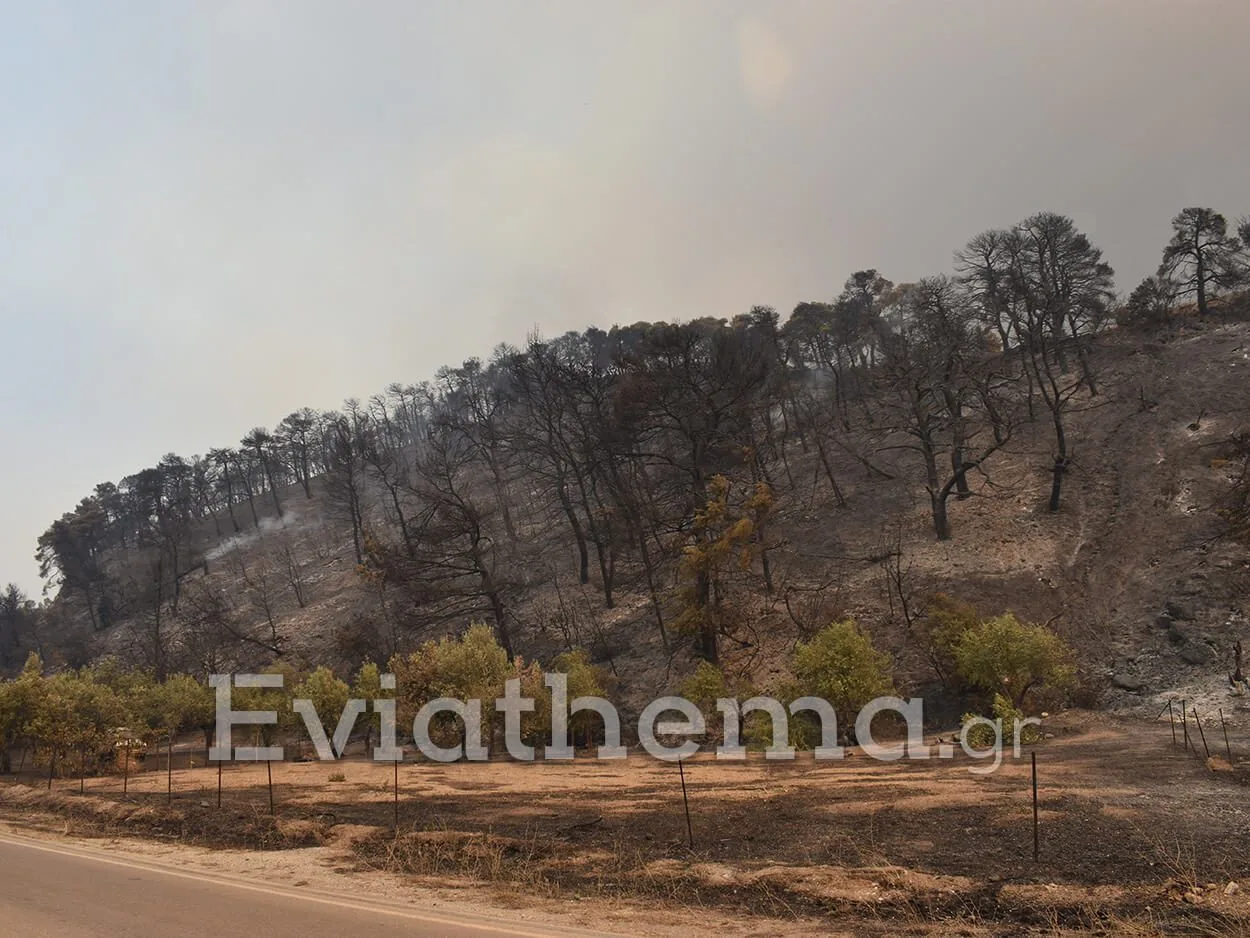 Πύρινη κόλαση στην Βόρεια Εύβοια