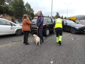 Τροχαίο με 7 οχήματα στην Ε.Ο Αθηνών - Λαμίας στο ύψος της εξόδου Μαρκόπουλου (Φωτό)