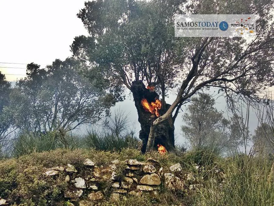Άλλη μια δύσκολη πυρκαγιά στους Βουρλιώτες πριν καν αρχίσει η αντιπυρική περίοδος