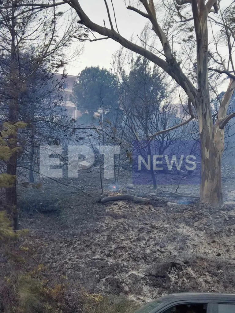 Χανιά: Μεγάλη φωτιά σε εξέλιξη σε περιοχή του Ναυστάθμου Σούδας – Εστάλη μήνυμα 112 – Εκκενώθηκε οικισμός