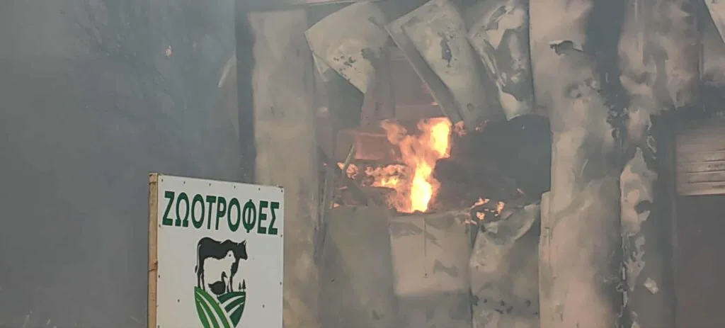 Φωτιά τώρα: Εκκενώσεις οικισμών στη Δυτική Αχαΐα με «112»  — Απειλούνται σπίτια – Ένας εγκαυματίας και δύο άτομα με αναπνευστικά προβλήματα στο νοσοκομείο – 11 εναέρια μέσα