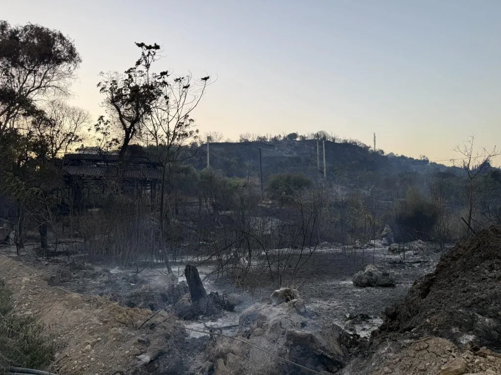 Εφιαλτικές στιγμές από τις μεγάλες πυρκαγιές σε Δυτική Αχαΐα και Συχαινά: Εκκενώνονται τα Μποζαΐτικα, γεμάτη καπνούς η Πάτρα, μυρίζει καμένο σε όλη την πόλη (ΦΩΤΟ)