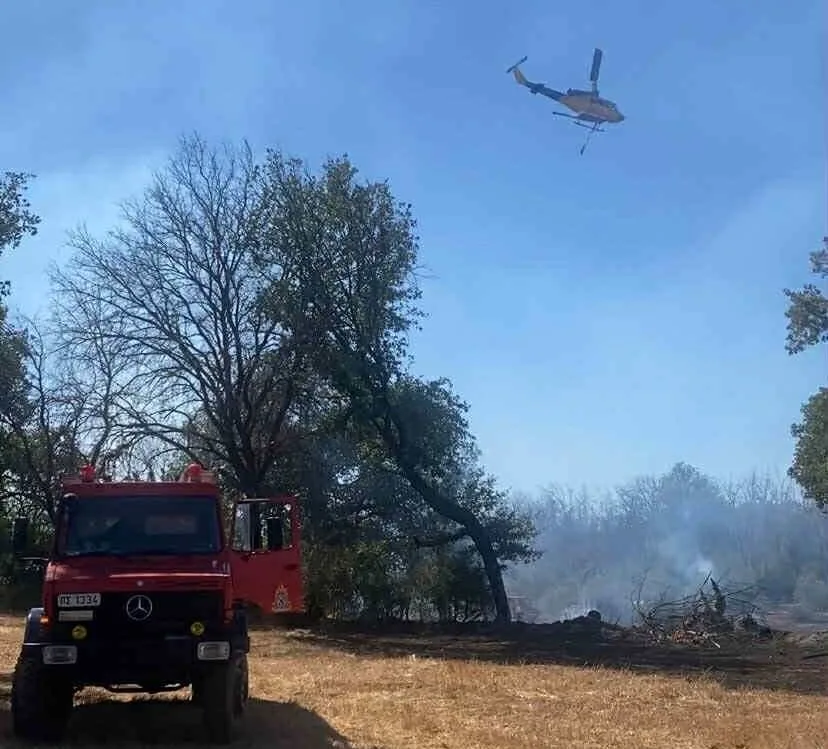 Σε ύφεση η πυρκαγιά στην Λιοδώρα Αρκαδίας
