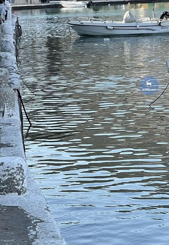 Το  σημείο όπου έπεσε  το παιδάκι μέσα στο λιμάνι. Θεωρείται ευτύχημα που διασώθηκε.