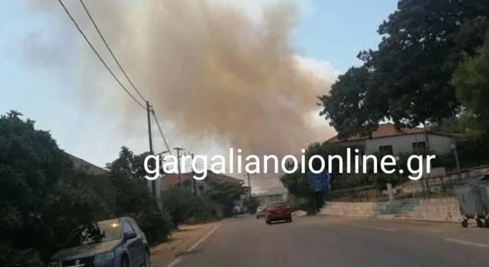 fotia2.jpg