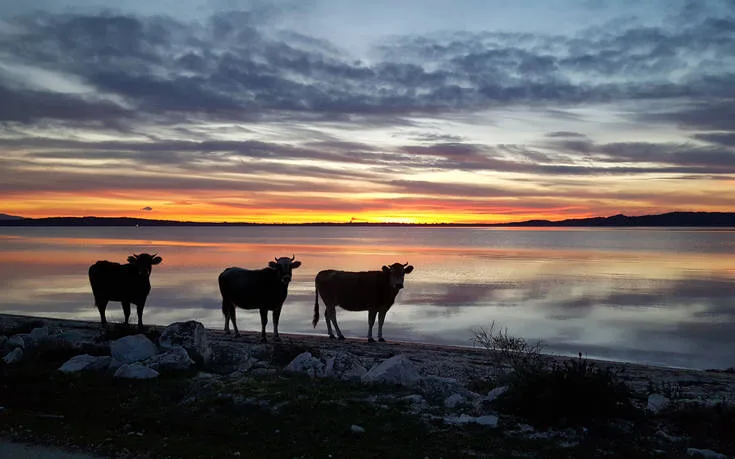 ÎÎÎΡÎÎÎÎÎΣ