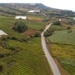 Τα πιο ακριβά χωράφια σε Κορινθία και Αργολίδα – Ποιες είναι οι τιμές πώλησης αγροτικής γης