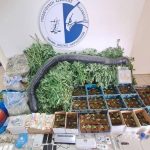 Πάνω από 28 κιλά κάνναβης και 270 φυτά κάνναβης κατασχέθηκαν από το Τμήμα Δίωξης Ναρκωτικών της Υποδιεύθυνσης Ασφάλειας Καλαμάτας