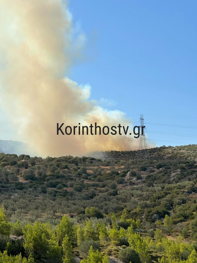 Φωτιά στην Κορινθία - Επιχειρούν και εναέρια μέσα στην περιοχή Μαψός - ΦΩΤΟ ΒΙΝΤΕΟ