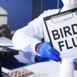 ΠΟΥ: Πηγή μεγάλης ανησυχίας η μετάδοση της γρίπης των πτηνών σε ανθρώπους