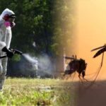 ΛΑΪΚΗ ΣΥΣΠΕΙΡΩΣΗ: Πορεία προγράμματος καταπολέμησης  των κουνουπιών στην Περιφέρεια Πελοποννήσου