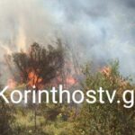 ΤΩΡΑ: Φωτιά σε δασική έκταση στο Λουτράκι